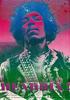 Jimi Hendrix Poster - Maple Leaf Gardens - High Gloss - Photo Quality Insert