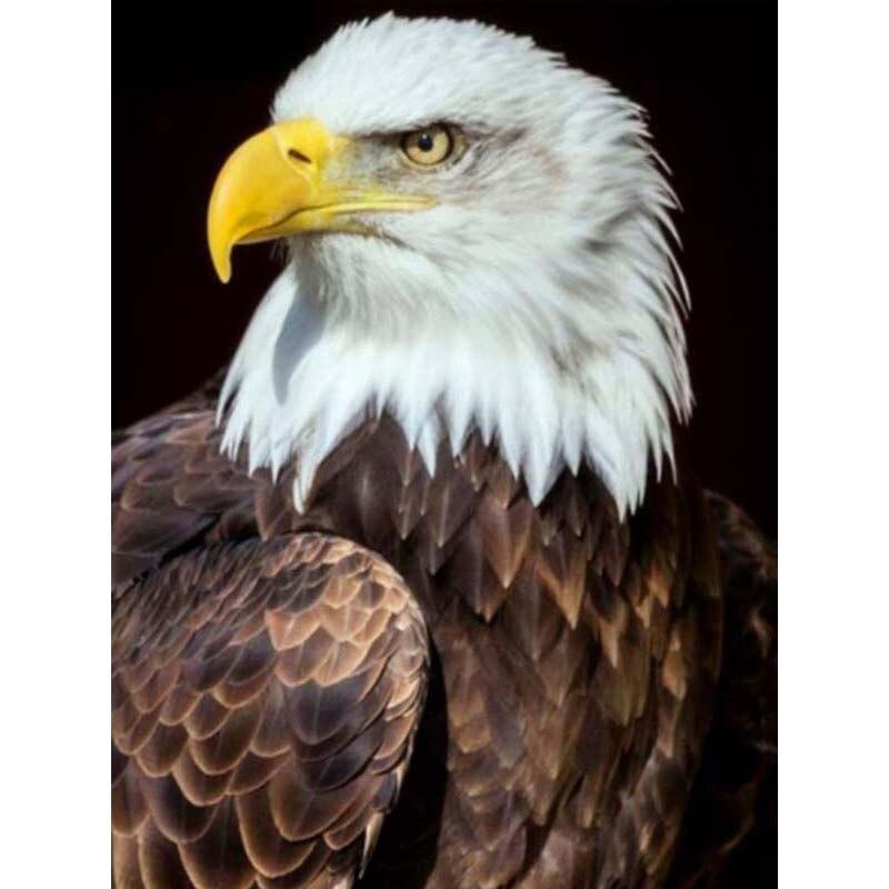 5D DIY Алмазная картина Белоголовый орлан Алмазная вышивка животных вышивка крестиком полная круглая дрель ремесла ручной домашний декор подарок