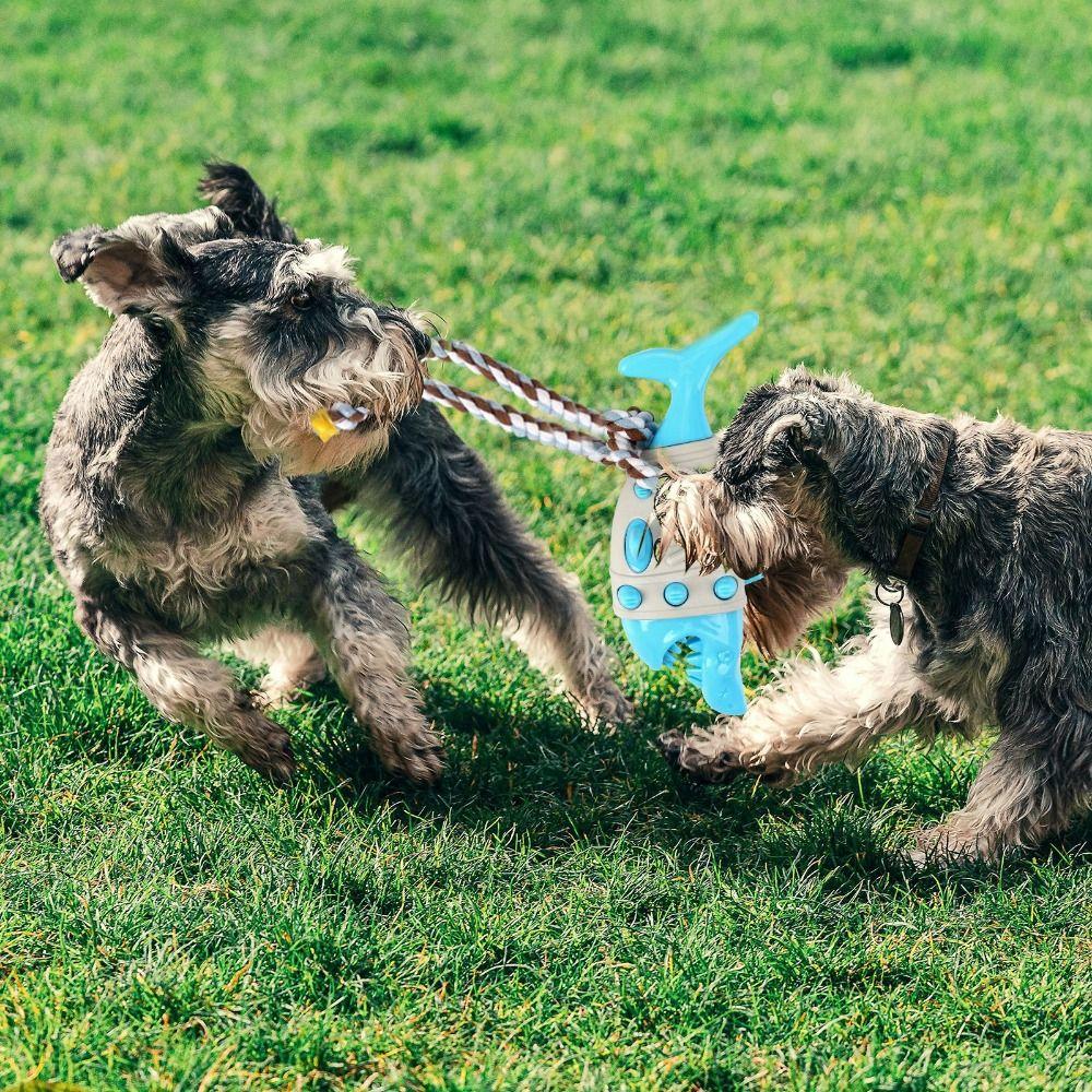 Bite-resistant Pet Leaking Food Toy Simulated Shark Pet Training Toy  Sniffing Hiding Food