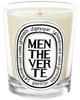 Diptyque Fragrance Candle Manteveld 190g [Item]