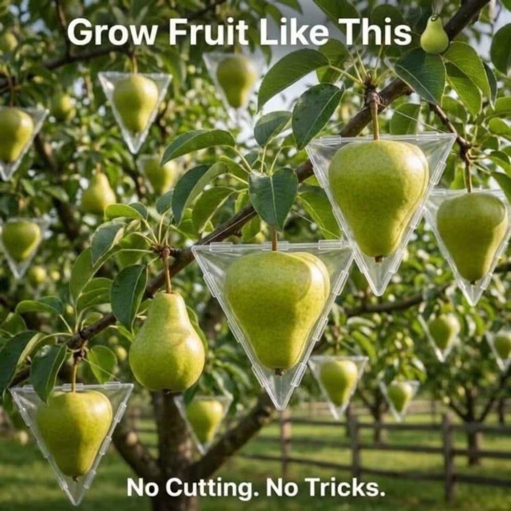 Transparent Fruit Shaping Mold Snap-on Fruit Growing Mold Plants Cages Growth Forming Box Balcony