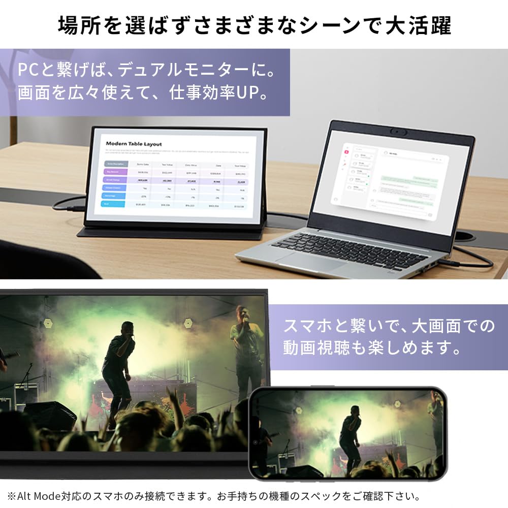 IRIS OHYAMA Portable Monitor 15.6inch FHD Slim Design Compact Mobile Monitor Matte 60Hz DP-EF164S-B Black