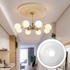 Ceiling Medallion Easy Installation Sturdy Fan Light Fixture Cover Plate for
