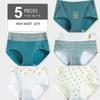 5Pcs High Waist Panties Cotton Breathable Women's Underwear Ladies Underpants Size M-XXL