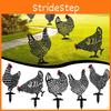 Chicken Art Statues Backyard Lawn Stakes Hen Yard Decor Garden Decor Ornament