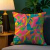 HOT Abstract Colorful Pattern Pillow Case Sofa Living Room Bedroom Double-sided Printing Square Cushion Nap Time Pillow Case