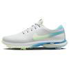 Кроссовки Air Zoom Victory Tour 3 Wide 'Photon Dust' DX9025-047