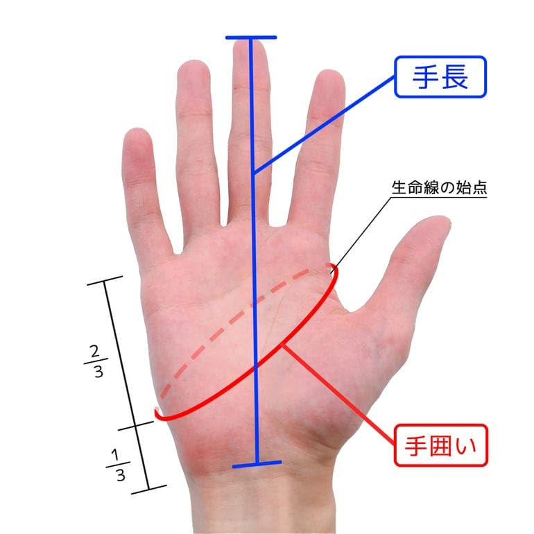 Paul Smith Size 415GL Size 47 L Gloves, Check, Men's, Navy/Gray, L02122, (Used)