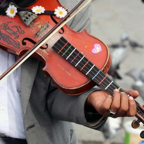 ERINGOGO Cello Fretboard Stickers, 4/4 Fingering Markers for Beginners, Practice, Improves Playing Accuracy, PVC, Easy Application, Black