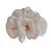 Professional Hair Clip Elegant Salon Partition Hair Claw  For Female Girl Lady Women