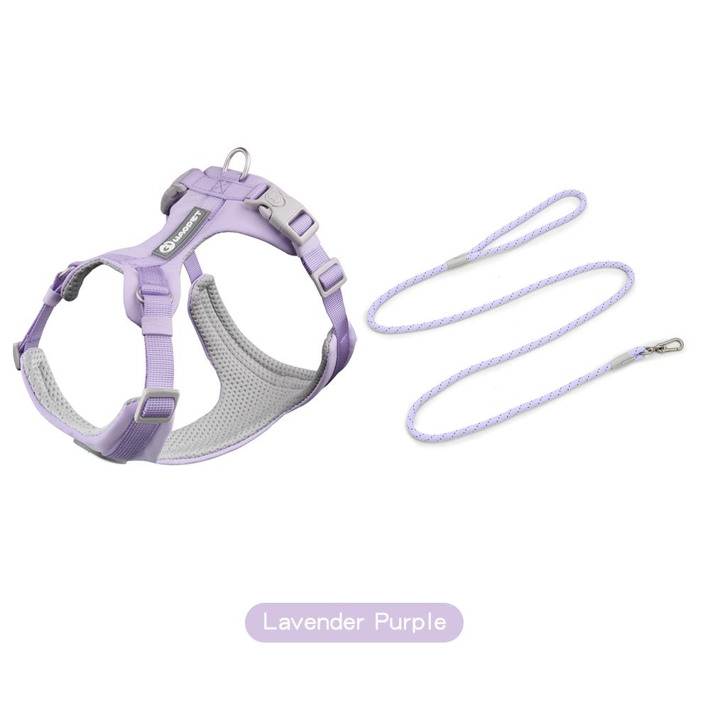 Шлейки для собак, набор с поводками, подарки для домашних животных, собак, кошек, жилет для маленьких, средних и больших собак, набор веревок для дрессировки на открытом воздухе, товары для домашних животных