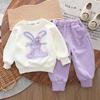 1-5 Years Children Clothing Set Girl Casual Clothes Kids Fashion Sweatshirt And Pants 2 Pcs Baby Autumn Winter Tracksuits Trend