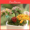 Exquisite Mini Tree Decoration Ornament For Enchanting Micro Landscape Crafts