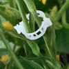 100/200/300 Pcs Plant Clips Plastic Plant Support Clips Reusable Tomato Trellis Clips for Climbing Plants Vines Cucumbers Indoor Outdoor Use