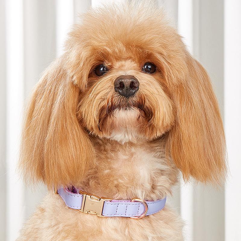 Ошейник для собак, ошейник для кошек в стиле ретро конфетного цвета, ошейник для маленьких и средних собак, ошейник для домашних собак