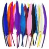 50Pcs Turkey Feather Duck Pointer Wing Goose Feather Crafts 25-30Cm Long White Black Accessories Carnival Pack