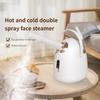 Household Hot and Cold Facial Steaming Device Beauty Salon Small Special Spray Machine Portable Face Sprayer