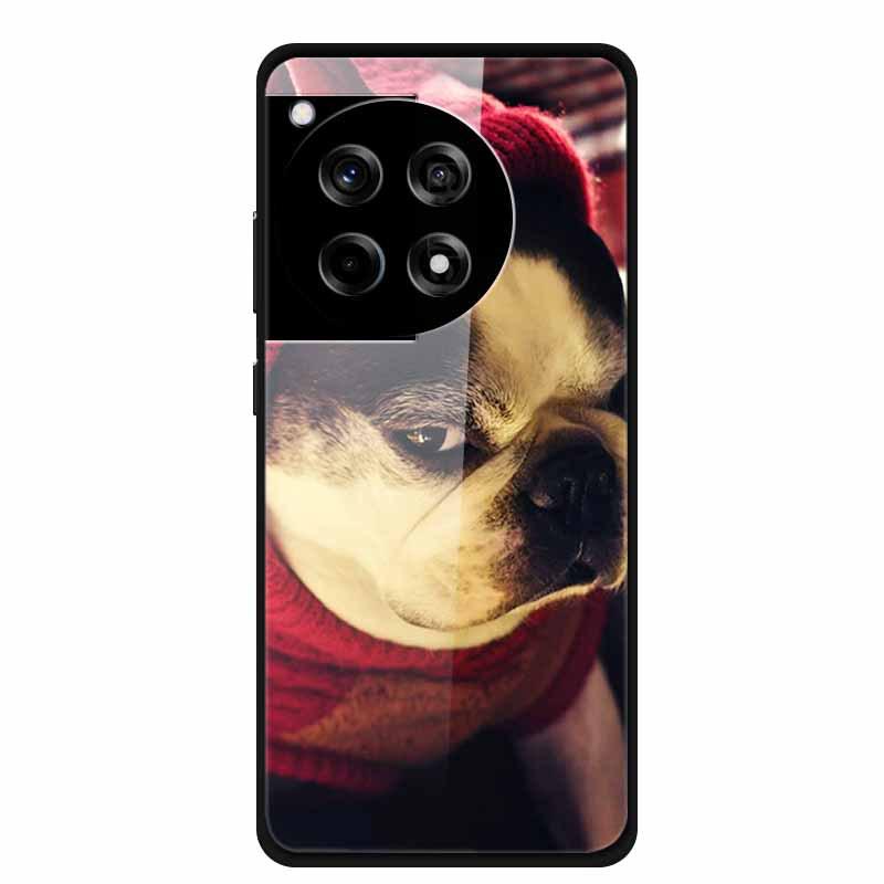 Креативный чехол из закаленного стекла с цветной росписью для OnePlus ACE 3 12R