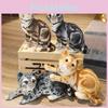 Realistic Simulation Cat Stuffed Plush Toy For Kids Home Decor And Gift