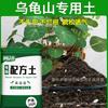 Органический питательный грунт и удобрение Turtle Mountain для цветов, овощей, суккулентов и комнатных растений
