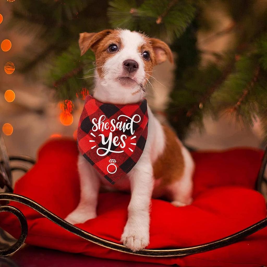 YHTWIN Милая Свадебная Бандана для Собаки, Ты Выйдешь Замуж За Моего Папу Бандана для Собаки, Бандана для Объявления о Помолвке Собаки, Подарок Владельцам Любителей Собак, Упаковка из 2 штук