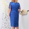 Women's Summer Large-size Dress Embroidered Lace Slim Dress