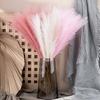 Simulated Grass Non-fading Not Wither Realistic Decorative Artificial Reed Grass Photography Props Home Supplies