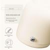 Bear 1.5L 316SS Double-Layer Anti-Scald Electric Kettle CN plug (adapter included)