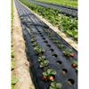 Agricultural Black Biodegradable Mulch Film for Greenhouse Vegetables, High Moisture Retention, Weed Control, Plant Protection M