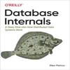 Database Internals Paperback