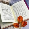 C.S. Lewis on Literature: Fairy Tales and Science Fiction