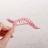 Wild Simple Girls Matte Women Seamless Plastic Hair Claw Duckbill Clip Face Wash Hairpin