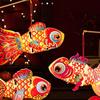 Waterproof New Year Carp Lantern Chinese Style Celebration Lantern  Mid-Autumn Festival