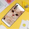 Чехол для телефона с британским короткошерстным котом для Samsung Galaxy A53 A33 A13 A12 A32 A52 A14 A34 A54 A15 A25 A35 A55 A71 A51