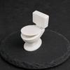 Нишевая Арт Коллекционная 3D Печатная Фигурка Туалета, Миниатюрное Украшение, Мини Сиденье Креативный Настольный Декор Мебель для Кукольного Домика, Модели Ванной Комнаты