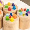 Wooden Material Montessori Toys Color Sorting Sensory Matching Color Sorting Toys Early Learnin Educational Toys Preschool