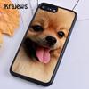 Pomeranian Watercolor Dog Phone Case Cover For iPhone 17 Air 16 15 14 plus 12 13 pro max coque Fundas