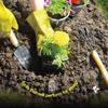 Gardening tools, 10 piece set, gardening tool kit, with bag and gloves, men's and women's gardening tool gifts