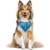 Adopt Me I'm a Foster Dog Bandana, Adopted Puppy Bandana Baby Dog Announcement Tie on Scarf, Blue Dogs Bandanas, Pet Scarf Accessories for Small