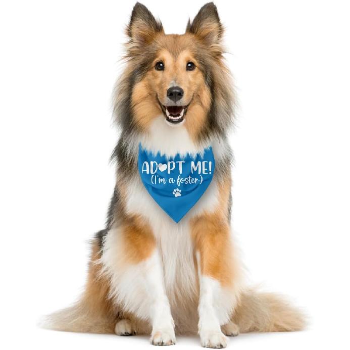 Adopt Me I'm a Foster Dog Bandana, Adopted Puppy Bandana Baby Dog Announcement Tie on Scarf, Blue Dogs Bandanas, Pet Scarf Accessories for Small