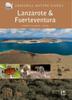 Книга Lanzarote and Fuerteventura : Spain : 39