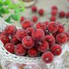 10шт искусственные фрукты ягоды DIY этап дома сад праздник вечеринка ремесло декор