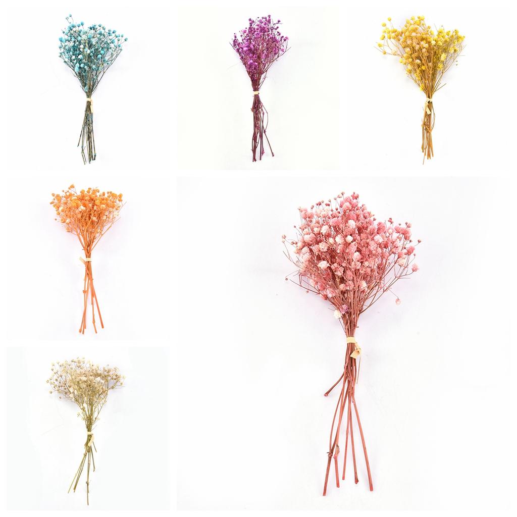 Сделай сам Вечеринка Натуральный Маленький Мини Прессованный Букет из Гипсофилы Сухоцветы Сухой Цветок