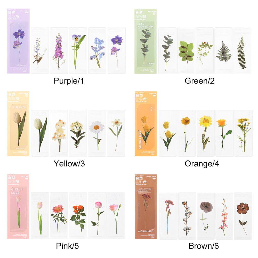 Book Note Marker PET Bookmarks Card Specimen Bookmarks Nature Plants Bookmarks Translucent Flower