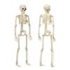 DIY Party Decoration Hanging Halloween Scary Props Human Skeleton Poseable Size