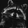 Cute T Shirts Unisex Pure Cotton Vintage T-Shirts Round Neck Raccoon Mammal Tees Short Sleeve Tops New Arrival