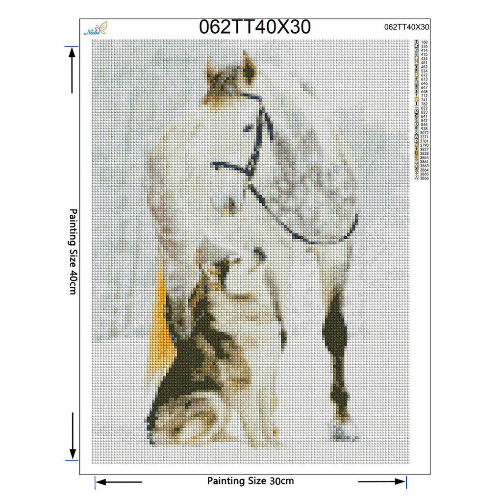 Full Round Diamond Painting Cross Stitch Snow horse&Wolf Full Round Diamond Husky Winter Dog