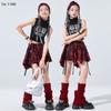 Kids Hip Hop Crop Top Plaid Street Dance Skirt Girls Ribbon Pleated Skirts Teens Jazz Cool Costumes Child Streetwear Clothes Set