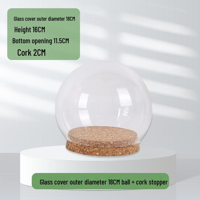 Ins Style Preserved Flower Glass Dome with Cork Base - Creative Dustproof Display Ornament