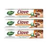 Herb'l Clove Toothpaste 600g (200g X 3 Pack) | Natural Cavity Protection, Bacteria Defense & Pain Relief | Fluoride & Paraben Free